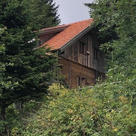 Haus Hanna Wolfsberg Extérieur photo